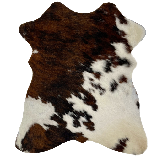 Tricolor Mini Cowhide:  has a black and brown, brindle pattern covering half of the hide, and off-white with spots that have a mix of black and brown covering the rest of the hide - 2'8" x 2'3" (MINI190)