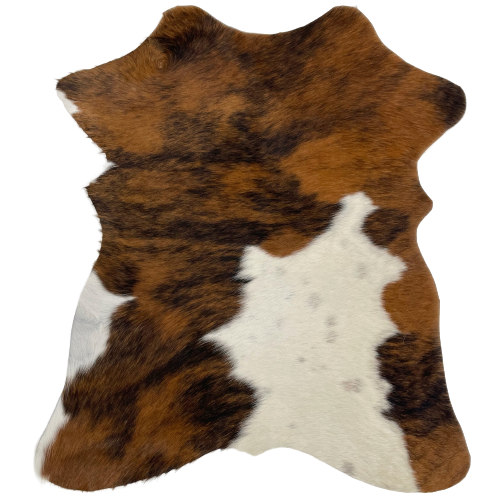 Tricolor Mini Cowhide:  has a brown and black, brindle pattern covering most of the hide, with a large white spot, that has a few faint, black speckles, on the lower, right side - 2'8" x 2'3" (MINI193)