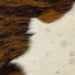 Closeup of this Tricolor Mini Cowhide, showing a brown and black, brindle pattern and a large white spot, that has a few faint, black speckles (MINI193)