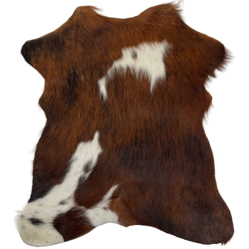 Brown and White Mini Cowhide:  brown, with blackish brown spots mixed in, and one large, white spot in the middle of the shoulder, and another on lower, left side - 2'8" x 2'3" (MINI197)