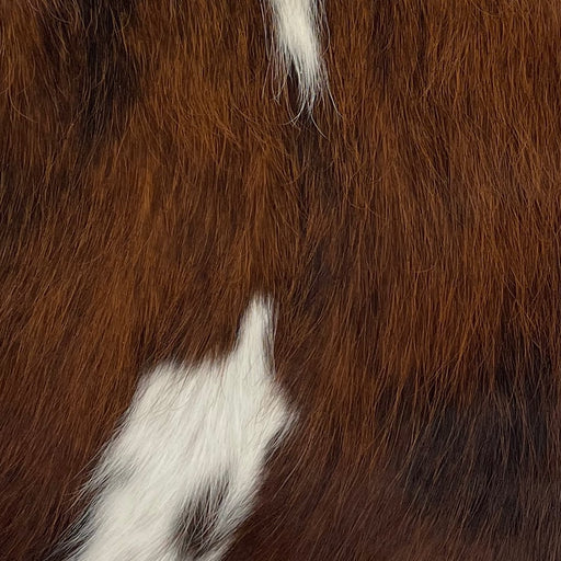 Closeup of this Mini Cowhide, showing brown, with blackish brown spots mixed in, and part of one large, white spot in the middle of the shoulder, and another on lower, left side (MINI197)