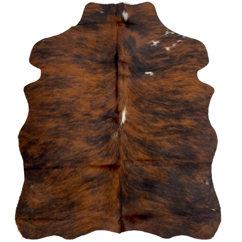 XS Red Brown and Black Brindle Cowhide, with a few very small, white spots on the right side  - 4'5" x 3'5" (XS060)