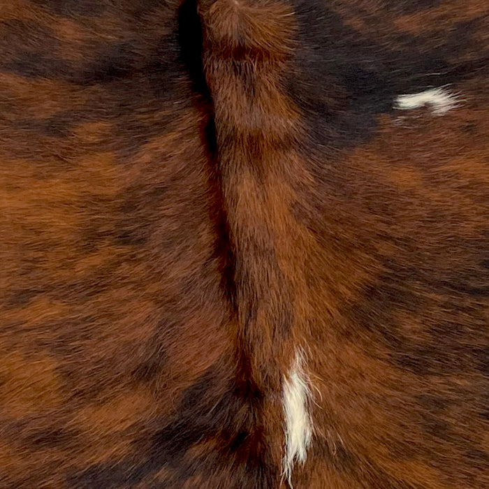 Closeup of this XS, Red Brown and Black, Brindle Cowhide, that has a few very small, white spots on the right side (XS060)