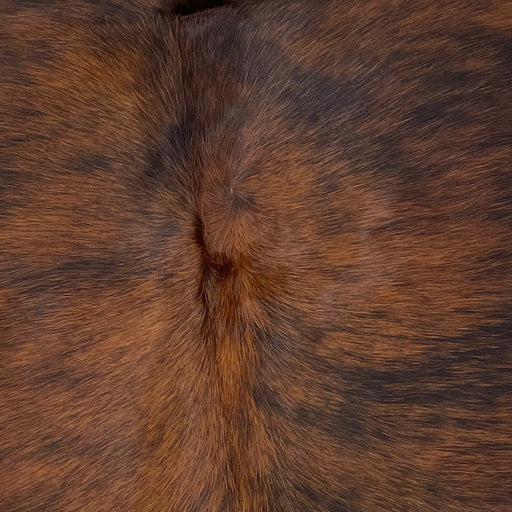 Closeup of this XS, Black and Reddish Brown, Brindle Cowhide (XS062)