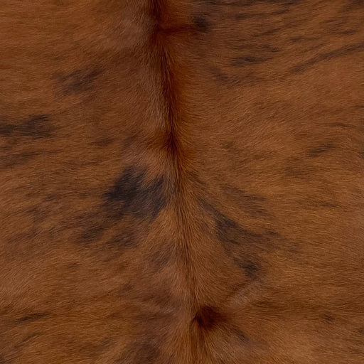 Closeup of this XS, Brindle Cowhide that is dark reddish brown and black (XS075)