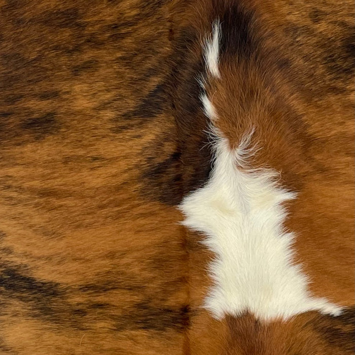 Closeup of this XS, Brindle Cowhide, showing brown and black, with a splash of white in the middle (XS141)