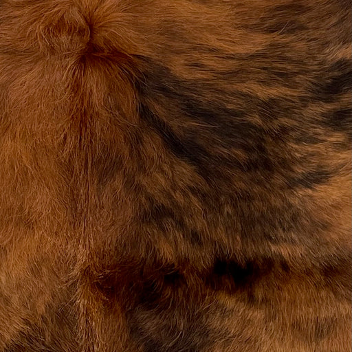  Closeup of this XS, Brindle Cowhide, showing reddish brown and black  (XS182)