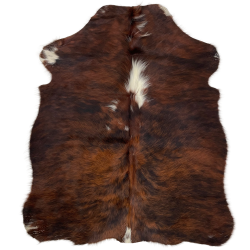 XS Red Brown and Black Brindle Cowhide, with one large and a few small, white spots along the spine, and one on both left shanks - 4'6" x 3'5" (XS195)