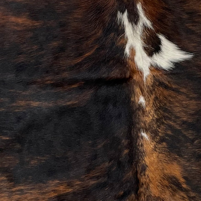 Closeup of this XS, Brindle Cowhide, showing black and brown, with a few white spots down the middle (XS198)