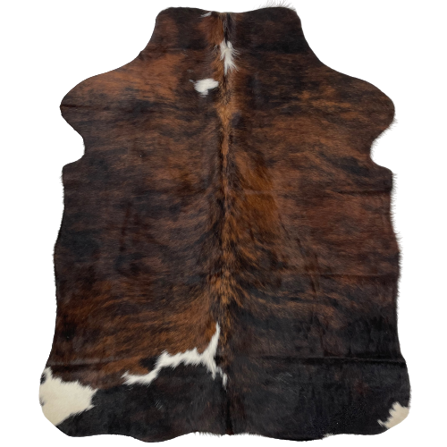 XS Black and Brown Brindle Cowhide, with two small, white spots in the middle of the shoulder, a larger white spot across the left side, near the lower edge, and white on part of both hind shanks - 4'6" x 3'5" (XS205)