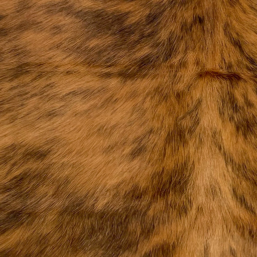 Closeup of this XSx Brindle Cowhide, showing brown and black  (XS207)
